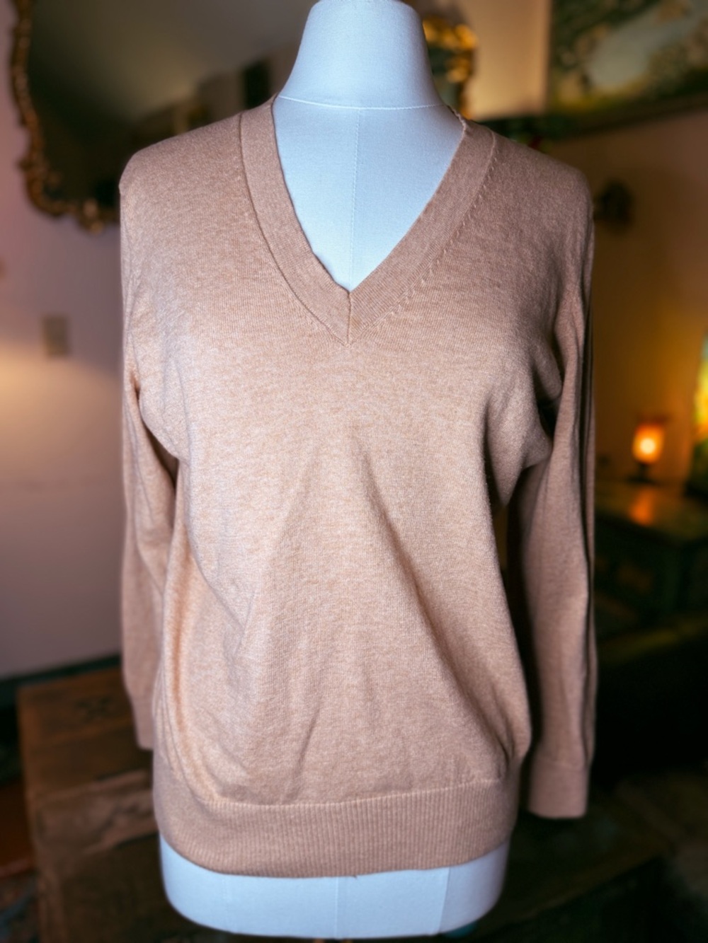 Eddie Bauer Women's V-Neck Sweater in Camel Brown